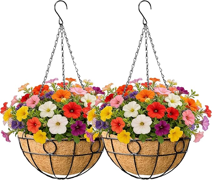 EIMQUVW Outdoor Hanging Planter Set (2 Pack) Durable Hanging Baskets with Coconut Fiber Lining and Chain 12 Inch Black Round Metal Flower Pots for Spring Summer Indoor and Outdoor Decorating