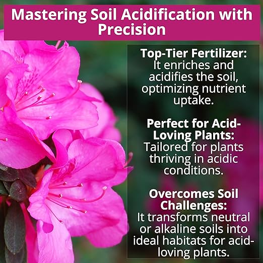 GARDENWISE 8-4-8 Acidic Fertilizer for Azaleas, Camellias (Camelia), Hydrangeas, Blueberries, Gardenias, Magnolia Trees, Evergreens, and Rhododendrons - Ideal Iron-Rich Plant Food (3 QUARTS)