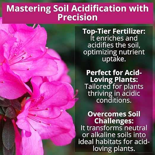GARDENWISE 8-4-8 Acidic Fertilizer for Azaleas, Camellias (Camelia), Hydrangeas, Blueberries, Gardenias, Magnolia Trees, Evergreens, and Rhododendrons - Ideal Iron-Rich Plant Food (12 OZ)