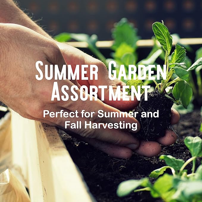Summer Garden Heirloom Vegetable Seeds - ~5,000+ Total Seeds, 7 Varieties of Seed to Sow in Summer Months - Beet, Lettuce, Radish, Basil, Cabbage, Cucumber, & Squash Heirloom Seed for Planting