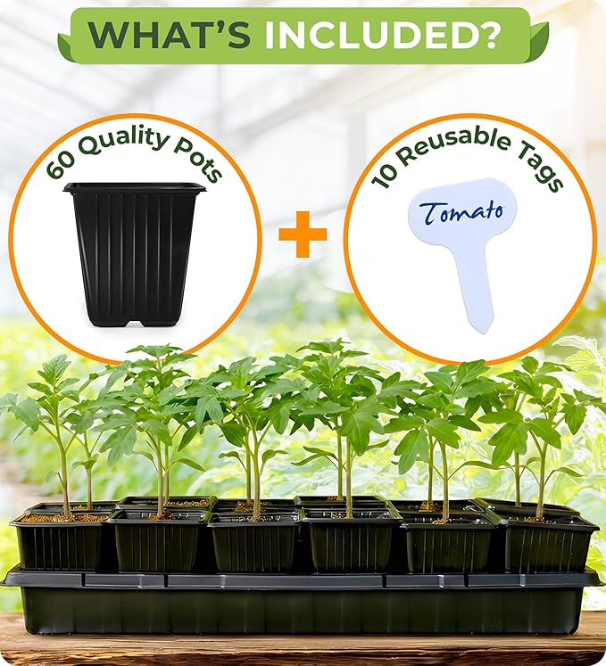 CARPATHEN 60Pack Square Nursery Pots - 1020 Tray Optimized - 3.5 Inch Seedling Plant Pot with Drainage Holes - Reusable Sturdy Seed Starter Pots for Flowers, Vegetables, Greens