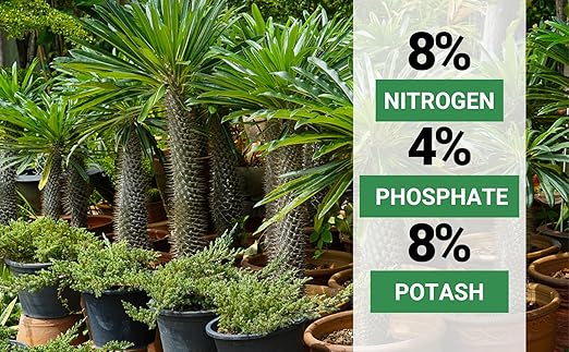 Gardenwise 8-4-8 Professional Palm Tree Fertilizer Plant Food; for Indoor Potted Plants and Outdoor Landscape Palm Trees; Quick-Release Nitrogen Fertilizer and Continuous Feeding (3 QUARTS)