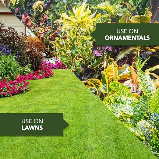 Bayer Advanced 706220B Rose & Flower Insect, Disease & Mite Control, Fungicide, 24 oz, Ready-to-Use (Pack of 2)