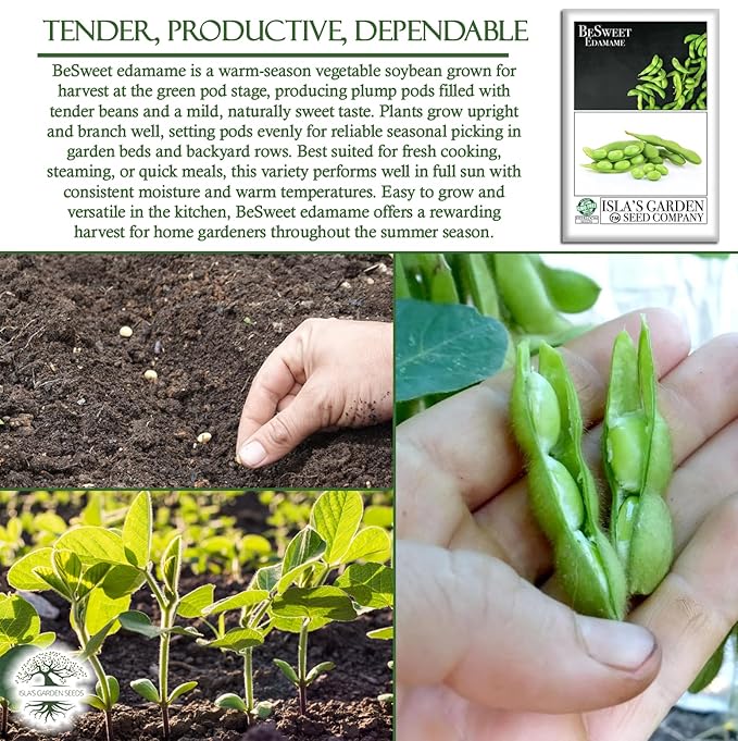 BeSweet Edamame Seeds for Planting (Vegetable Soybean, Glycine max) – 25+ Non GMO & Heirloom Seeds by Isla’s Garden Seeds, Sweet Tender Pods, Easy Home Growing, Garden Gift Idea