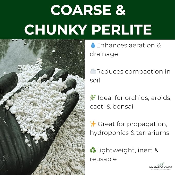GARDENWISE Perlite for Plants, Coarse and Chunky Horticultural Perlite, Organic Perlite for Gardening Indoor & Outdoor, Perlite Bulk Bag, Made in USA (1 Quart)