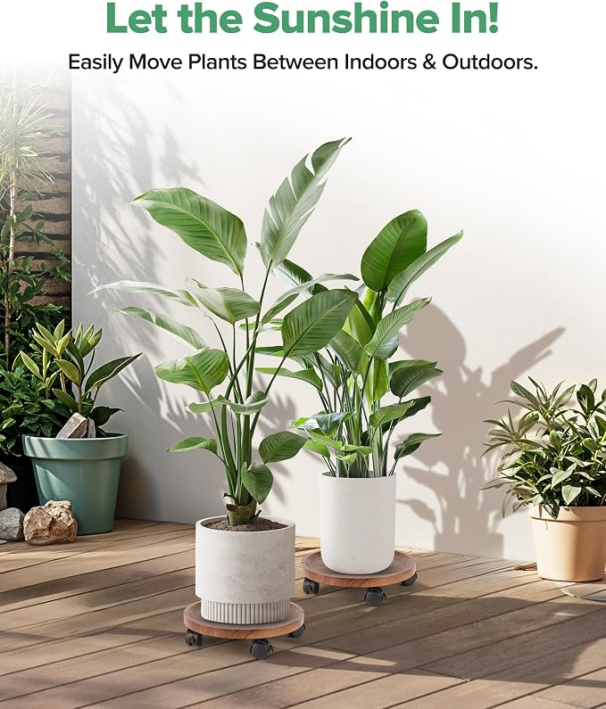 2 Pack Plant Caddy with Wheels, 12" Wood Rolling Plant Stand with 360° Lockable Wheels, Plant Stands Outdoor for Large Plants, Flower Cart Plant Dolly Plant Caster for Heavy Objects, Walnut