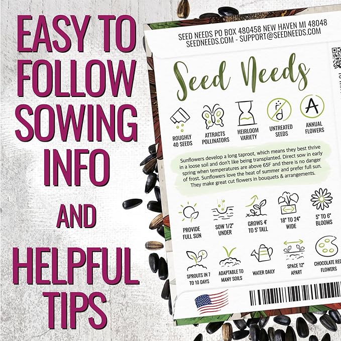 Seed Needs Sunflower Seeds for Planting Chocolate Sunflowers - Heirloom & Open Pollinated Flower Seed to Plant & Grow an Outdoor Wildflower Butterfly Garden (2 Packs)