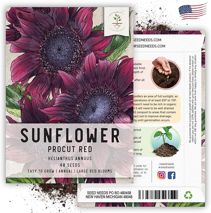 Seed Needs, Procut Red Sunflower (Helianthus annuus) Twin Pack 40 Seeds Each - Specialty Hybrid