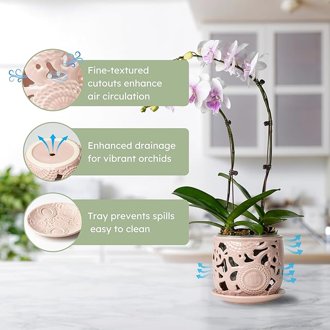 HERDUK Ceramic Orchid Pot, Orchid Pots with Drainage Holes & Saucer 6.5 Inch,Orchid Pot for Repotting Indoor, Orchid Containers with Precise Aeration & Drainage
