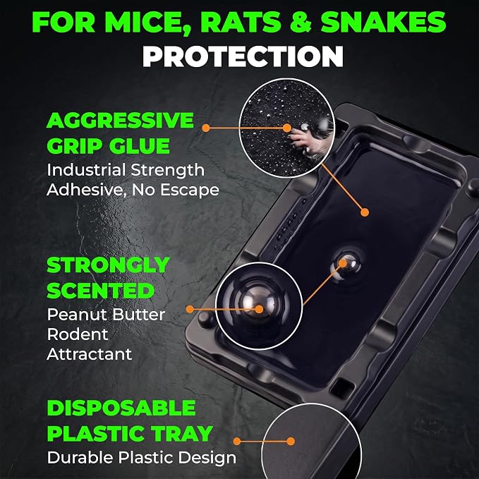 Guarden Glue Traps for Mice & Rats – 10 Pack | Extra-Large Pre-Baited Sticky Traps | No Poison or Pesticides | Catches Mice, Rats, Snakes & Insects
