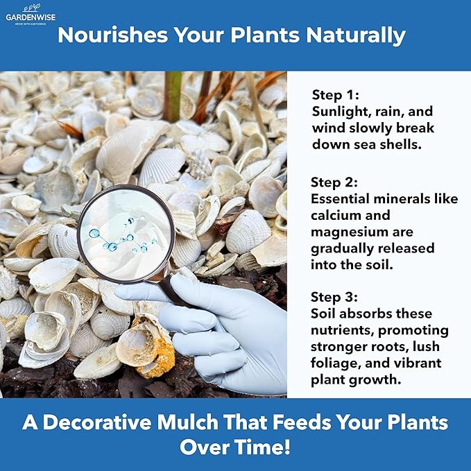 GARDENWISE Natural Organic Sea Shell Mulch for Gardens and Landscaping – Decorative and Nutrient-Rich, 0.5–3-Inch Shells, Perfect for Indoor and Outdoor Use (0.3 CF - 8 L - 9 QTS)