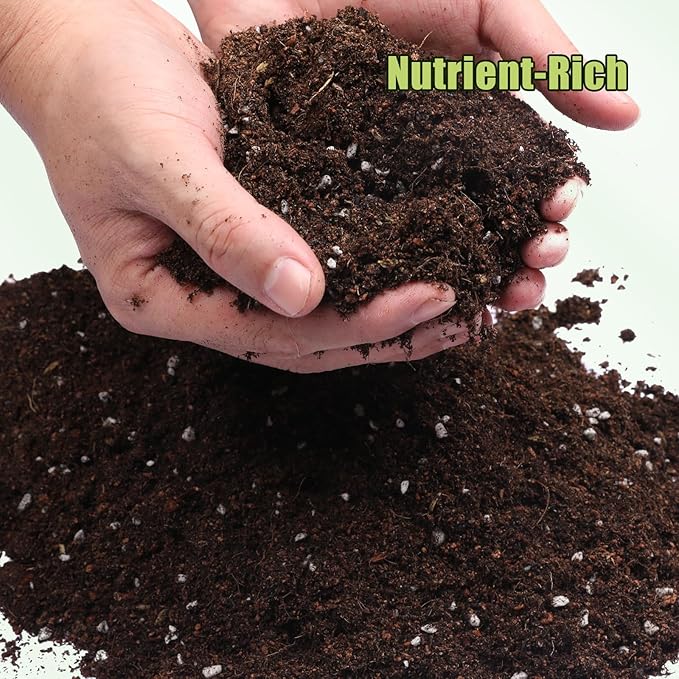 Organic Avocado Tree Potting Soil Mix 2qt, Enhance Growth and Transplant Success for Avocado Plants
