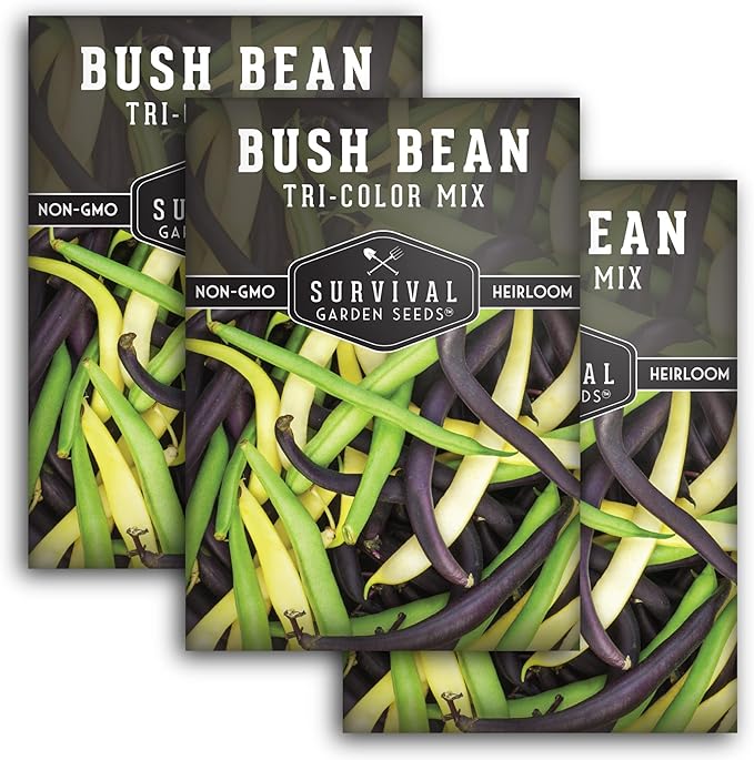 Tri Color Blend Bush Bean Seeds for Planting - Mix of Green, Yellow Wax, & Purple Beans with Stringless Pods - 3 Non-GMO Heirloom High Yield Varieties - Survival Garden Seeds (3 Packs)