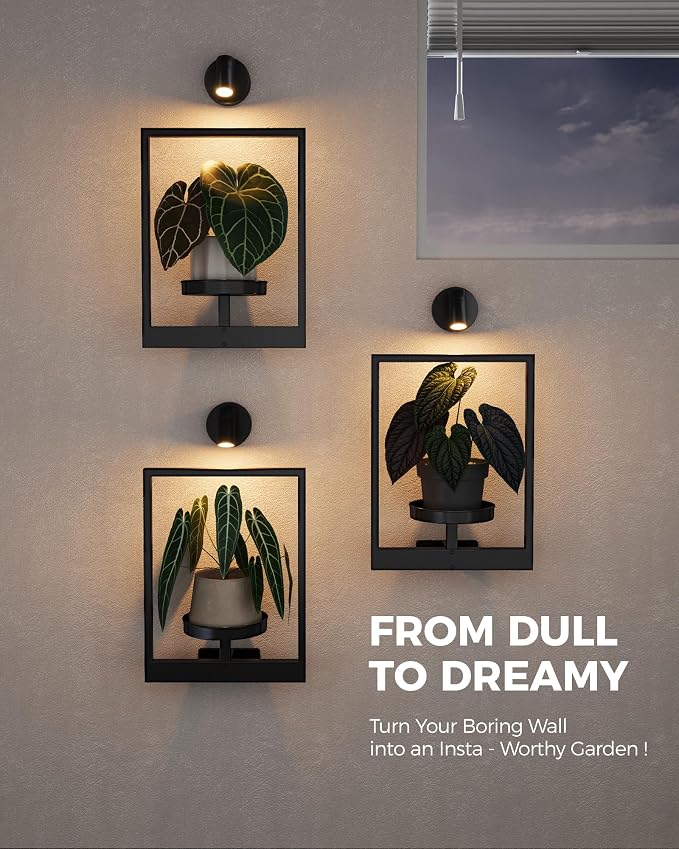 Bamworld Hanging Planters for Indoor Plants Wall Decor Living Room Light | Plant Stand Indoor Wall Planters Plant Hanger Window Plant Shelves 3-Packs with Lights