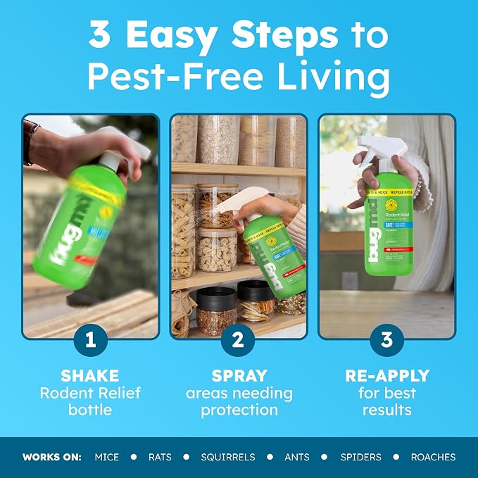 BugMD Peppermint Spray for Rodents - Natural Mouse and Mice Repellent | With Cinnamon, Clove and Rosemary Oils, Safe for Indoor and Outdoor Use | 16oz