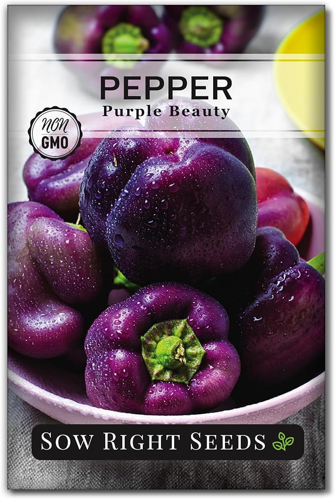 Sow Right Seeds - Purple Beauty Pepper Seeds for Planting - Non-GMO Heirloom Packet with Instructions to Plant and Grow an Outdoor Home Vegetable Garden - Sweet Bell Variety, Violet Purple (1)