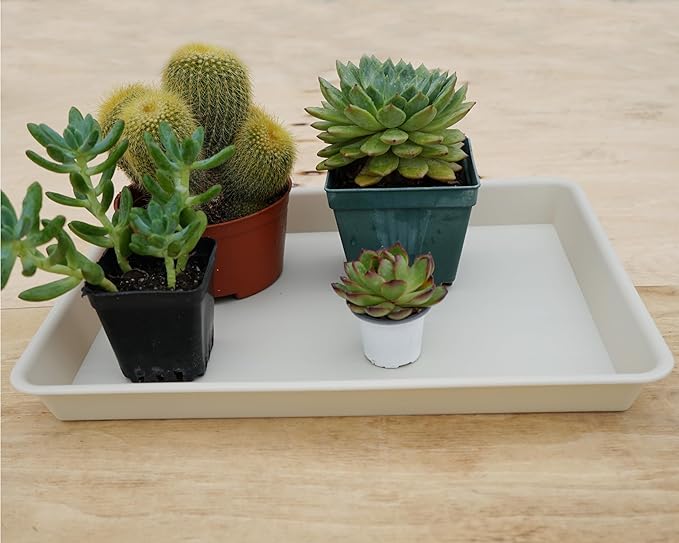 VUWEZ 4 Pack Plant Saucer Tray Rectangular, Plant Saucers for Indoors, Heavy Sturdy Plastic Plant Drainage Trays, Plant Drip Trays for Pots, Seed Starter Growing Tray (11 x 9 inch, Beige)