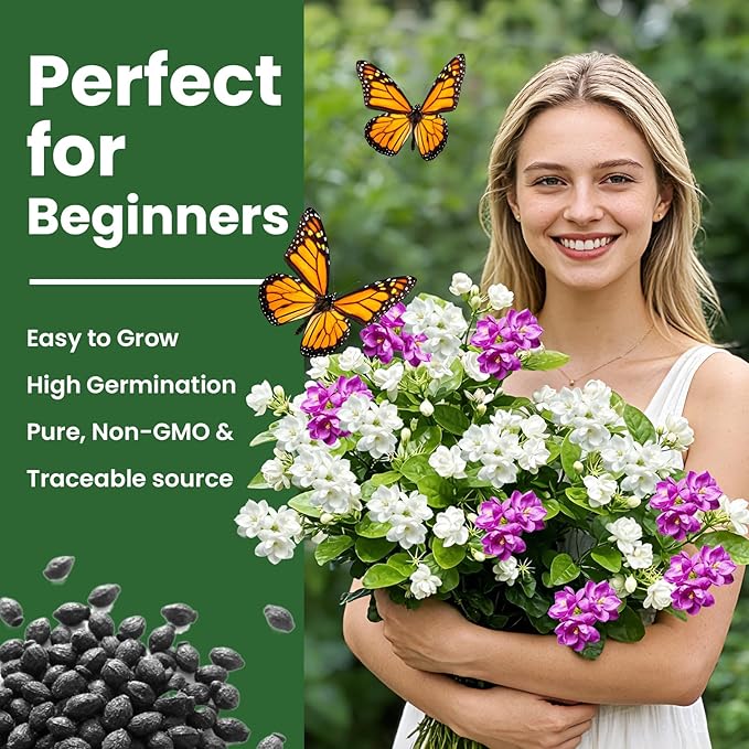 Jasmine Seeds for Planting Mixed Colors (White & Purple), Midnight Perfume Jasmine Seeds, 200+ Fragrant Flower Seeds, Easy to Grow Garden Flowers for Indoor Outdoor