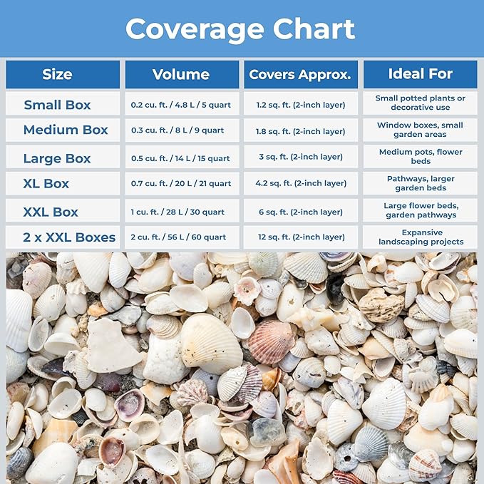 GARDENWISE Natural Organic Sea Shell Mulch for Gardens and Landscaping – Decorative and Nutrient-Rich, 0.5–3-Inch Shells, Perfect for Indoor and Outdoor Use (0.2 CF - 4.8 L - 5 QTS)