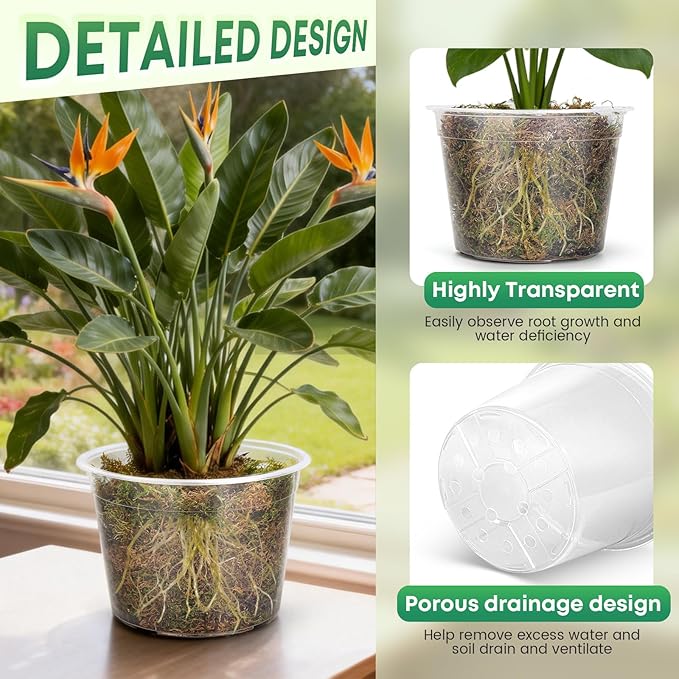 5 Pack 10 Inch Large Clear Nursery Pots with Drainage Hole, Plastic Plant Pots for Seedlings Flowers Vegetables, Indoor Outdoor Gardening, Used as Liners Inside Decorative Pots (10 inch)
