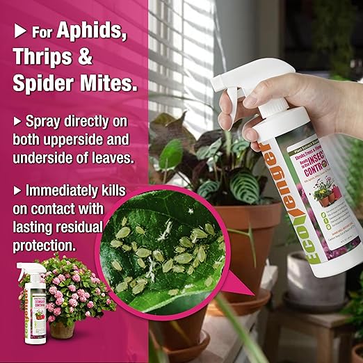 EcoVenger Garden Protection Kit – 16 oz Insect Control Spray & Multi-Purpose V-Granules 1.95 LB Jug, Natural, Plant-Based Pest Control for Indoor & Outdoor Use