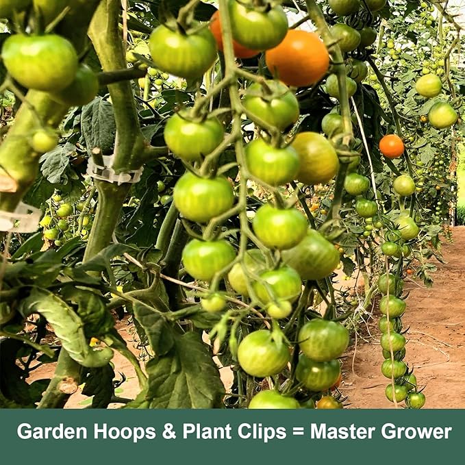 60PCS Garden Hoops for Raised Beds & 30PCS Tomato Clips, Greenhouse Hoops for Netting, Rust-Free Diameter 0.23” Plant Support Garden Stakes Can Cover 2.8ft-3.5ft in Width (60PCS+30 Clips)