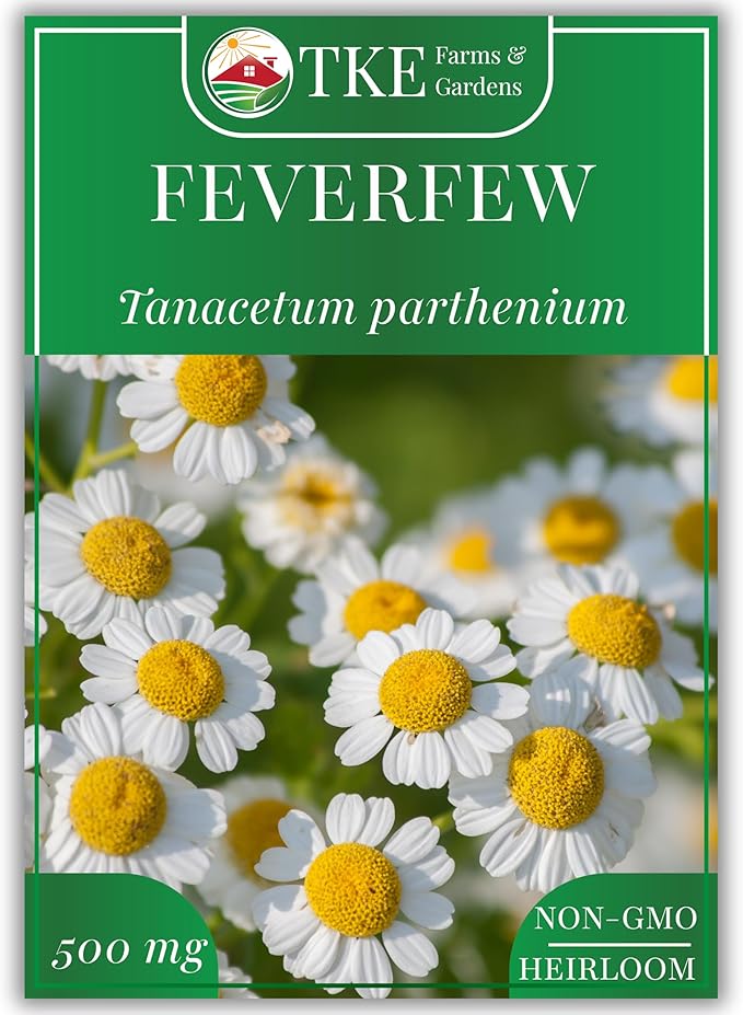 TKE Farms & Gardens - Feverfew Seeds for Planting, 3000+ Heirloom Non-GMO Medicinal Herb Seeds, Grow Indoors or Outdoors, Easy to Follow Instructions Included, Chrysanthemum parthenium