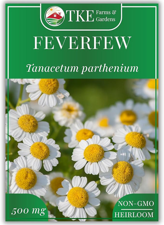 TKE Farms & Gardens - Feverfew Seeds for Planting, 3000+ Heirloom Non-GMO Medicinal Herb Seeds, Grow Indoors or Outdoors, Easy to Follow Instructions Included, Chrysanthemum parthenium
