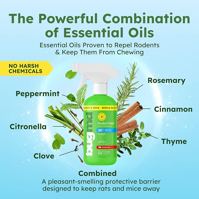 BugMD Peppermint Spray for Rodents - Natural Mouse and Mice Repellent | With Cinnamon, Clove and Rosemary Oils, Safe for Indoor and Outdoor Use | 16oz, 2 Pack