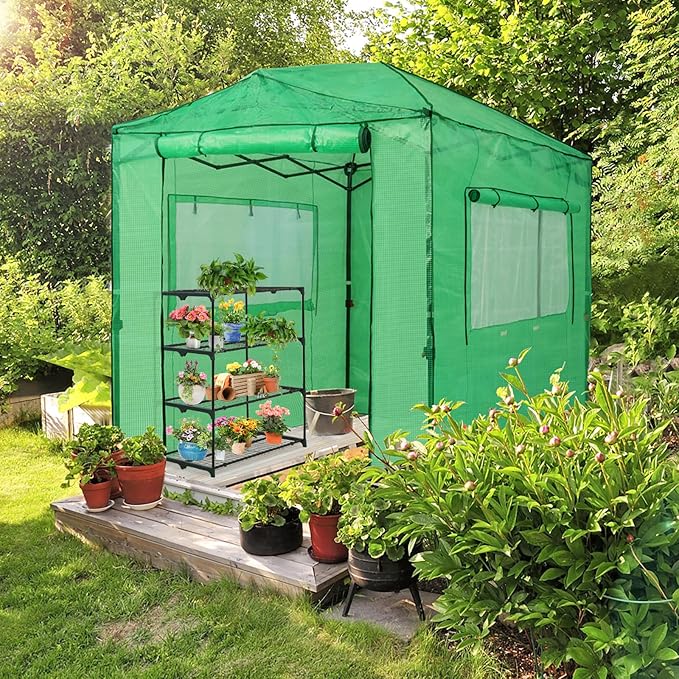 EAGLE PEAK 8x6 Pop Up Greenhouse with 15 Pods Hydroponics
