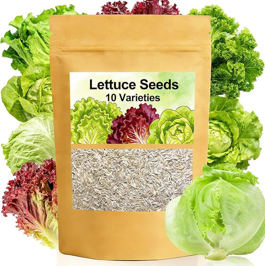 Lettuce Seeds, 10 Varieties Individual Packs, 40000+ Non-GMO Heirloom Vegetable Seeds for Planting Indoor Outdoor for Fresh Salad, Easy to Grow for Garden Beginners, Gifts for Women Men Plant Lovers.