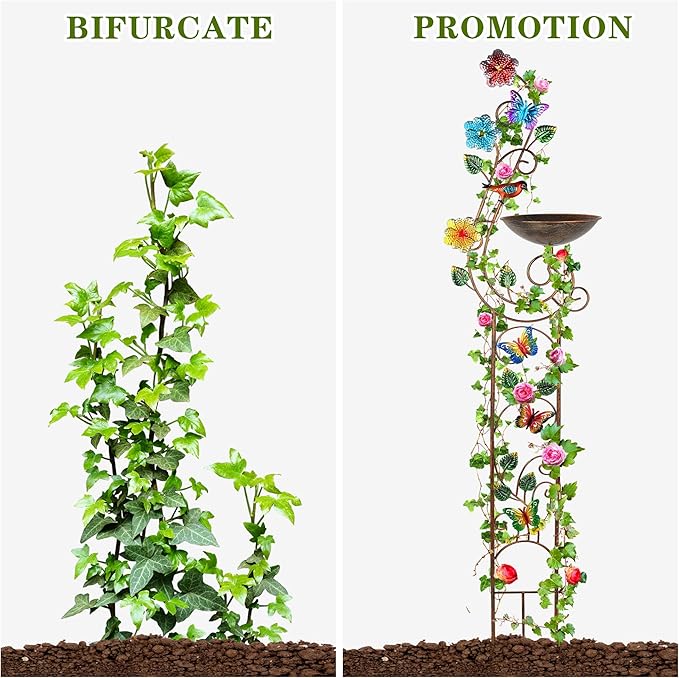 YADOOLIFE 57” Bird Bath with Garden Trellis for Climbing Plants Outdoor, Small Decorative Trellises Metal Birdbath Bird Baths, 1 Piece (Butterfly)
