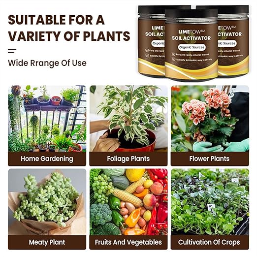LIMETOW Premium Soil Activated Treasure - Organic Soil Activator & Plant Fertilizer for Raised Garden Beds, Potting Mix, and Seedling Compost (3Bottle)