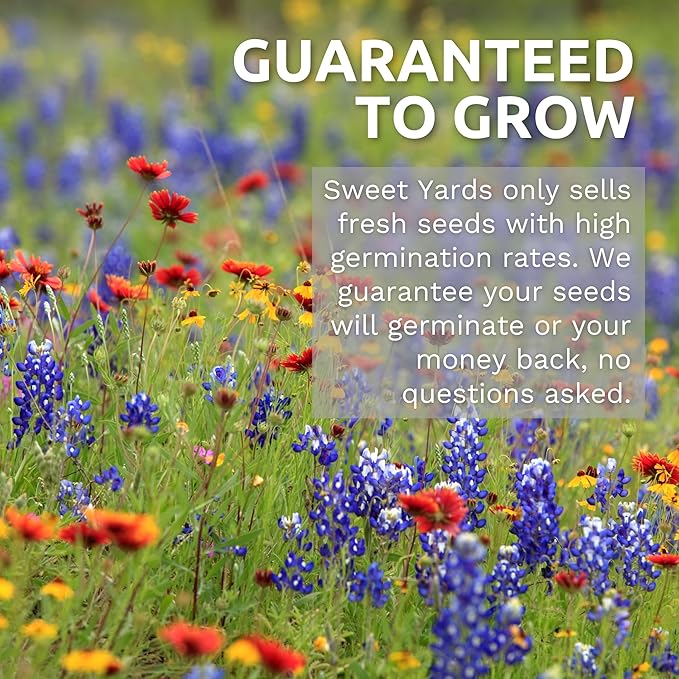Rocky Mountain Regional Mix - Bulk 1/4 Pound Pouch - 100,000 Flower Seeds for Planting - Wildflower Mix