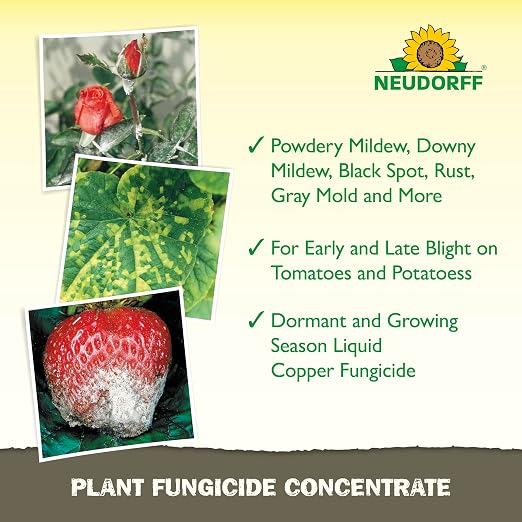 Neudorff Plant Fungicide Concentrate for Roses, Fruits & Vegetable 16 OZ | Ready-to-Use Copper Soap Fungicide Control Powdery Mildew and Other Diseases and Fungus for Organic Gardening,