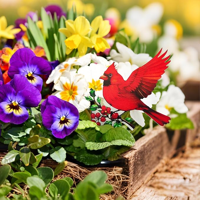 Hummingbird Gifts for Women Mom Grandma - Humming Bird Plant Lover Mothers Day Birthday Gifts Cardinal Garden Decor - Hanging Planters for Indoor Outdoor Cardinal Plants Pots Accessories