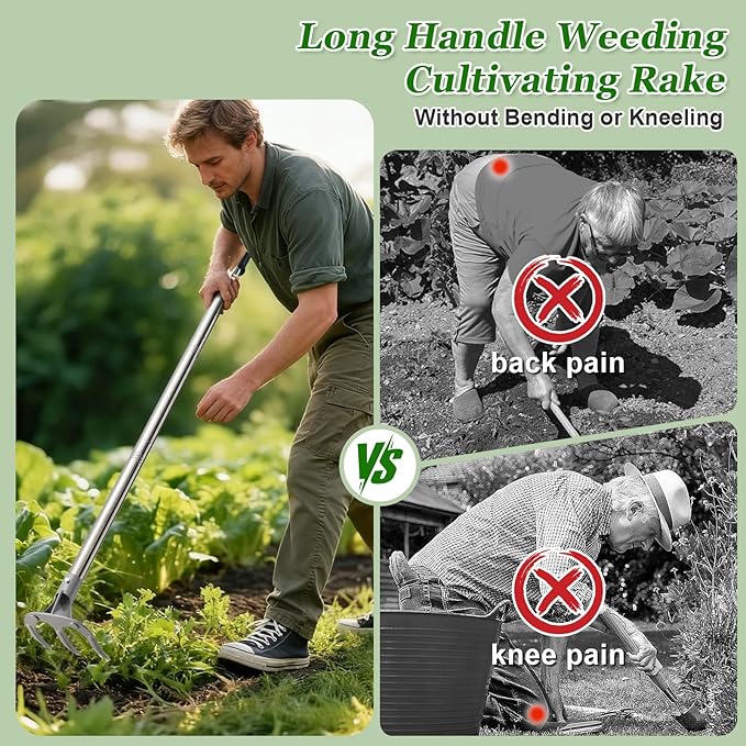 COCONUT 65” Long Handle Weeding and Cultivating Rake, 3-Tine Garden Rake for Stand Up Gardening, No Bending or Kneeling to Loosen Soil, Heavy Duty Steel with D-Grip Handle