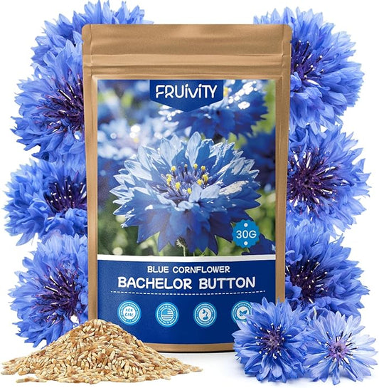 6000+ Cornflower Seeds Perennial for Planting – Blue Bachelor Button Seeds, Non-GMO Pollinator Friendly Flower Seeds for Outdoor Garden, Attract Bees & Butterflies