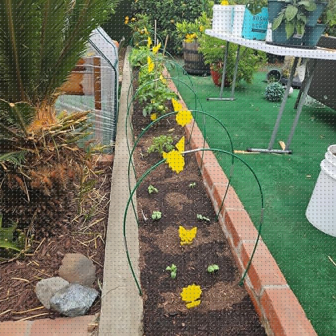 Garden Hoops for Raised Beds, 36pcs Greenhouse Hoops Grow Tunnel, 6 Sets 8ft Rust-Proof Fiberglass Frame for Garden Netting, Row Cover, Shade Cloth, Protecting Outdoor Plants