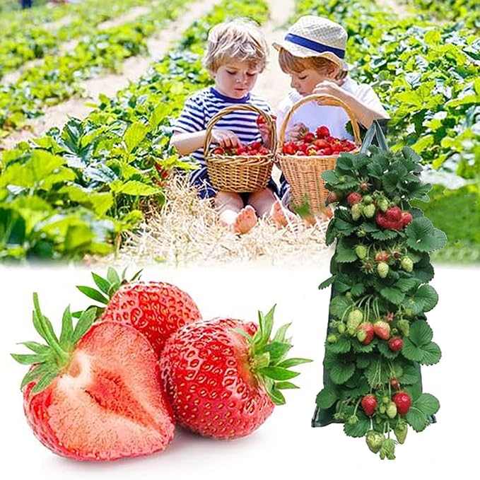 2024 Hanging Strawberry Planter - Upside-Down Patio Garden Tomato Grow Bags With Handle for Outdoor (3)