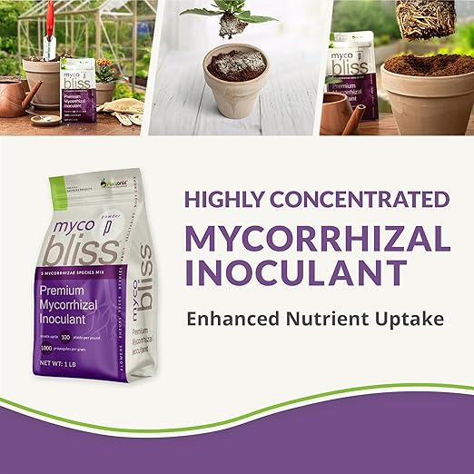 Worm Bliss (1 Qt) + Myco Bliss Powder (200 g) - Mycorrhizal Fungi Inoculant & Organic Worm Castings for Plants - Mycorrhizae for Plants - Earthworm Castings Organic Fertilizer - Mycorrhizal Inoculant