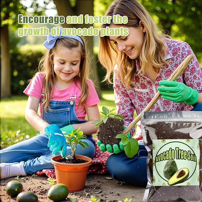 Organic Avocado Tree Potting Soil Mix 4qt, Enhance Growth and Transplant Success for Avocado Plants