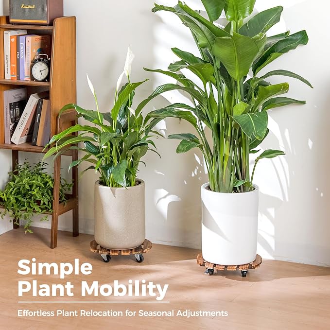 Bamworld Plant Stand Outdoor Rolling Tray Plant Caddy with Wheels 12in Plant Caster with Wheels Planter Caddy Flower Cart Plant Dolly for Heavy Duty Large Plants Plant Rollers (2 Pack ) | Heavy-duty planter dollies make large pots easy to move indoors ...