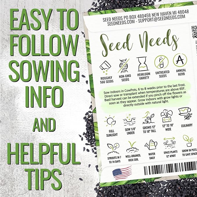 Seed Needs Basil Seeds for Planting Italian Large Leaf Herbs - Non-GMO Heirloom & Untreated - Grow an Indoor or Outdoor Home Grown Herb Garden (1 Pack)
