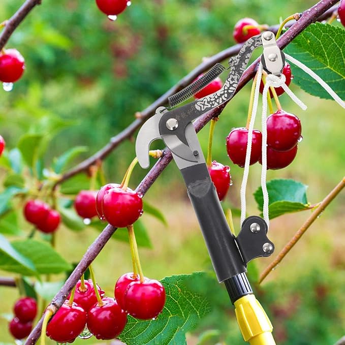 Scicalife Gardening Pruning Shears Labor-Saving Trimming Scissors Rust-Resistant Durable 7.87In Handheld Garden Tool for Shrubs Trees Flowers