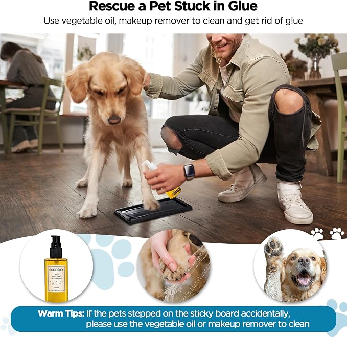 Glue Traps for Mice, 6 Pack Mouse Rat Trap, Extra Strength, Pre-Baited Adhesive Sticky Boards, Heavy Duty Glue Traps for Snake, Lizard, Insect, Safe Home Pest Control