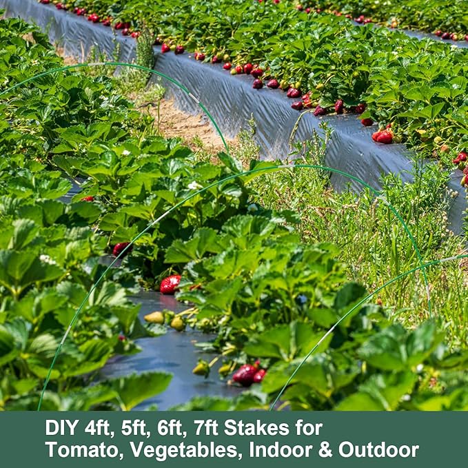 60PCS Garden Hoops for Raised Beds & 30PCS Tomato Clips, Greenhouse Hoops for Netting, Rust-Free Diameter 0.23” Plant Support Garden Stakes Can Cover 2.8ft-3.5ft in Width (60PCS+30 Clips)
