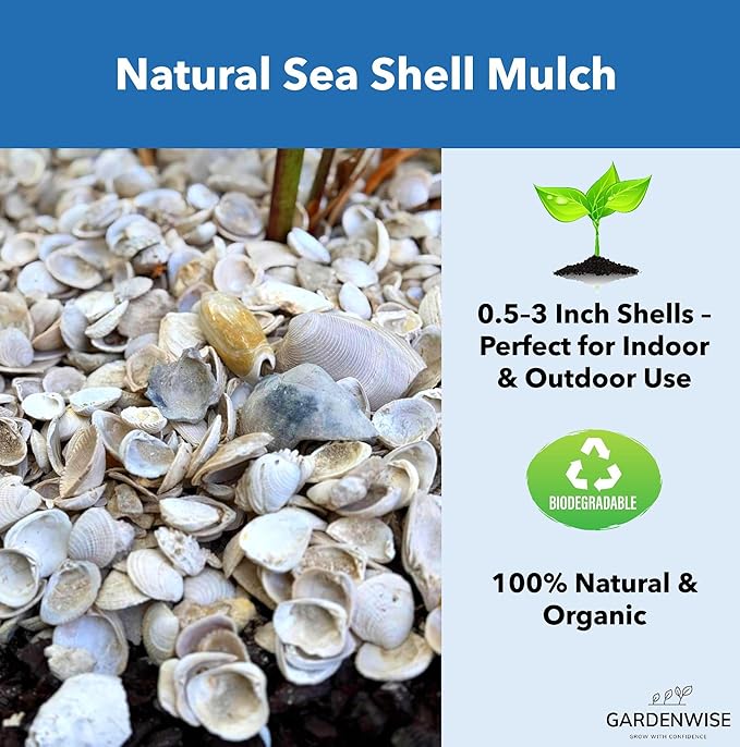 GARDENWISE Natural Organic Sea Shell Mulch for Gardens and Landscaping – Decorative and Nutrient-Rich, 0.5–3-Inch Shells, Perfect for Indoor and Outdoor Use (2 CF - 56 L - 60 QTS)