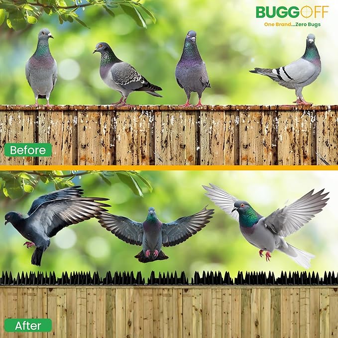 BUGGOFF - Red Plastic Bird & Rodent Spikes, Unique Spike Pattern effecitviely deteres Pesky Pigeons, Squirrels, Raccoons. Installs on Fences, Gates, Roofs, Walls and More! (52.5 Feet)