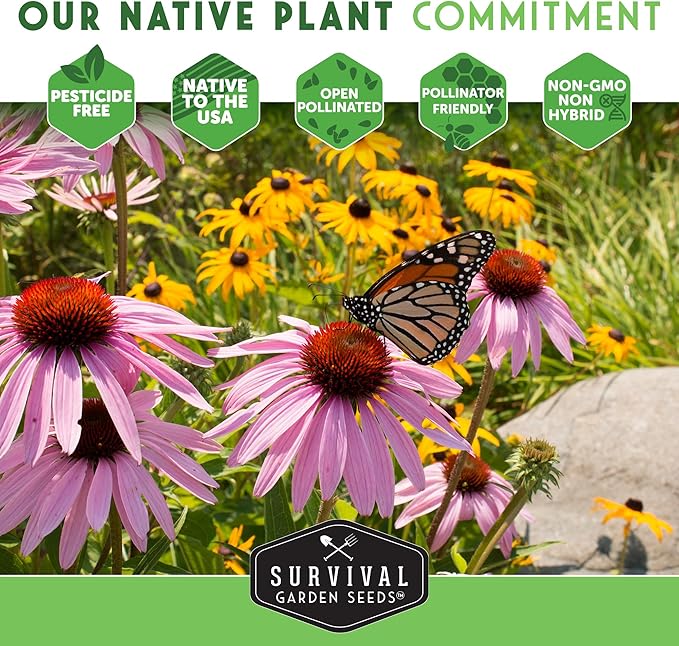 Blanket Flower Seeds for Planting - Perennial Gaillardia Aristata Firewheel Wildflower, Drought Tolerant Native Flower Seeds - Survival Garden Seeds (3 Packs)